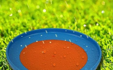 Frisbee on lawn
