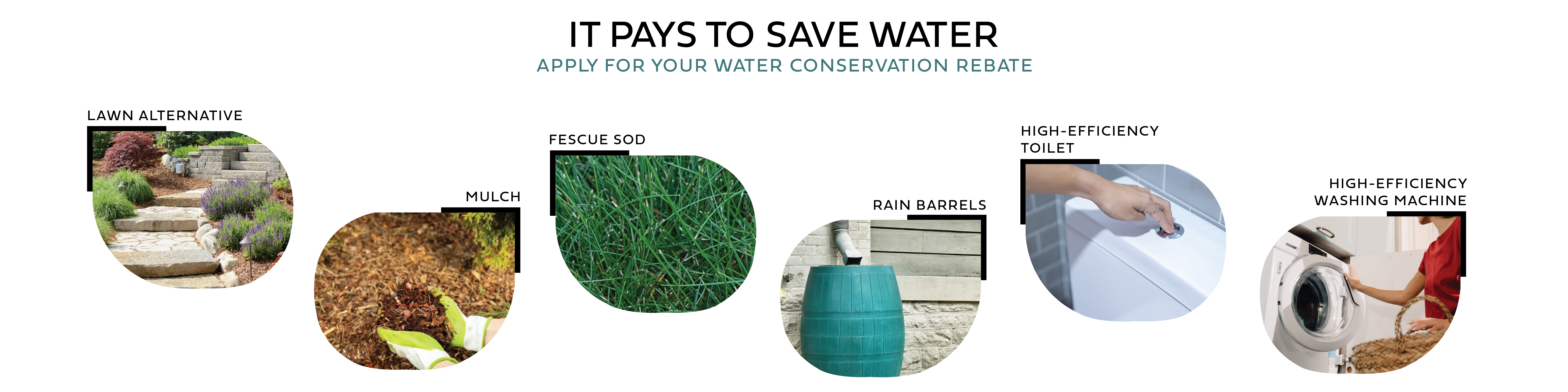 Gallery Detail: Water Conservation Rebates