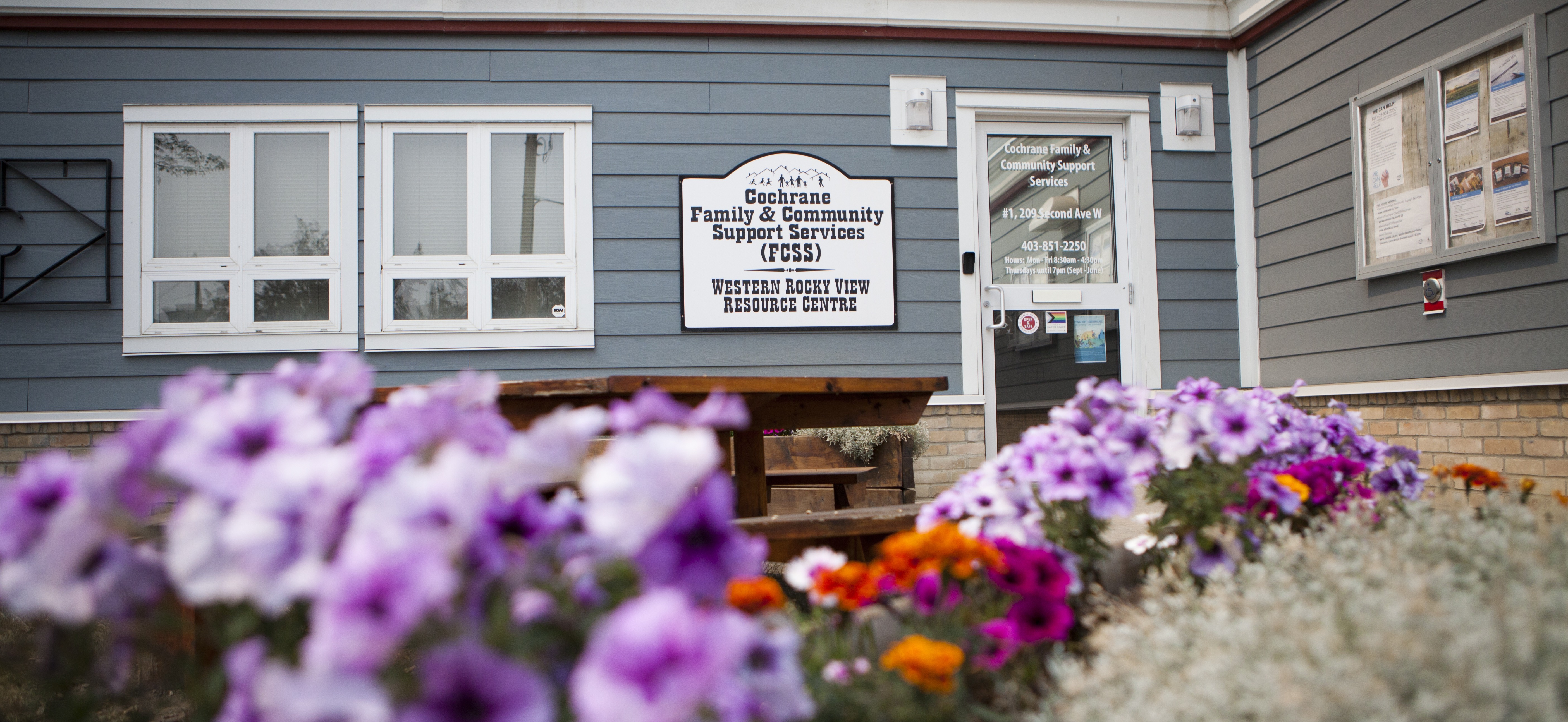 A bunch of flowers surrounding the front of the blue FCSS building