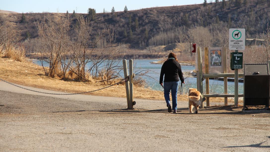 image of lady walking dog into off leash dog park 