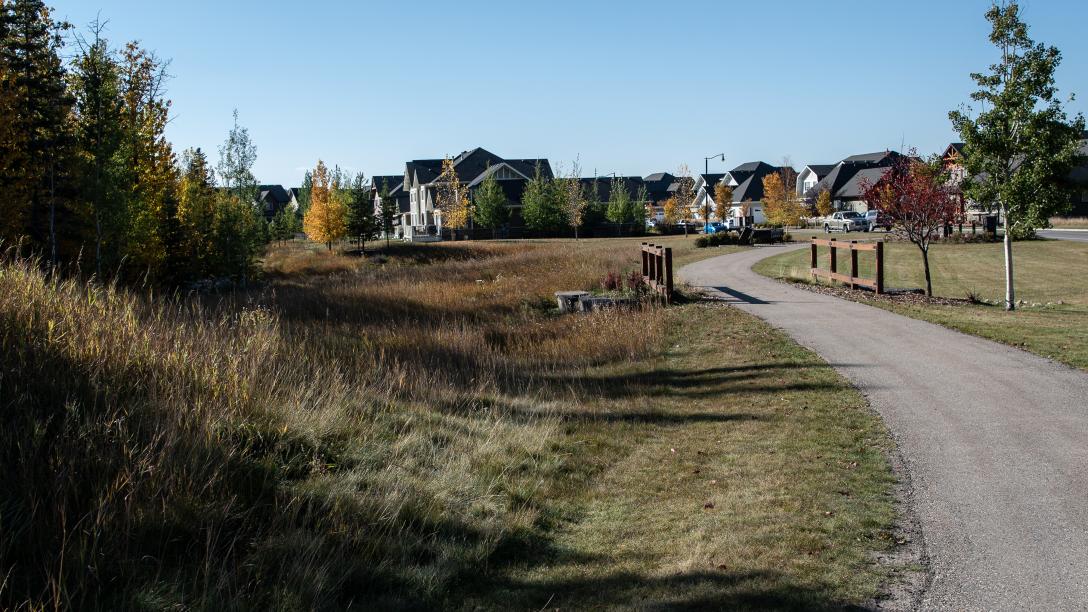 winding trail surrounding by grass