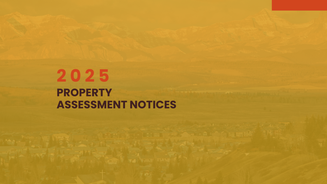 2025 Property Assessment Notices. text on a yellow background.