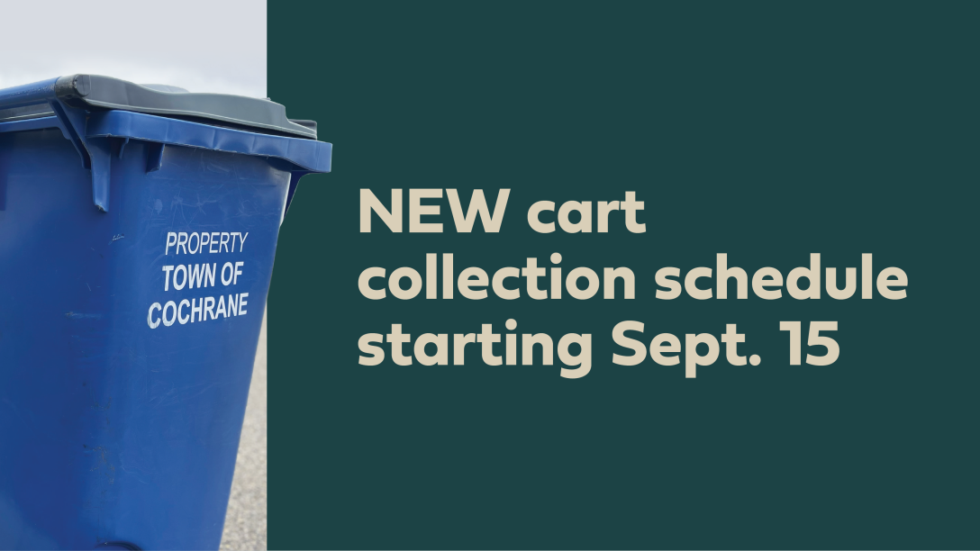 Cart Collection Banner