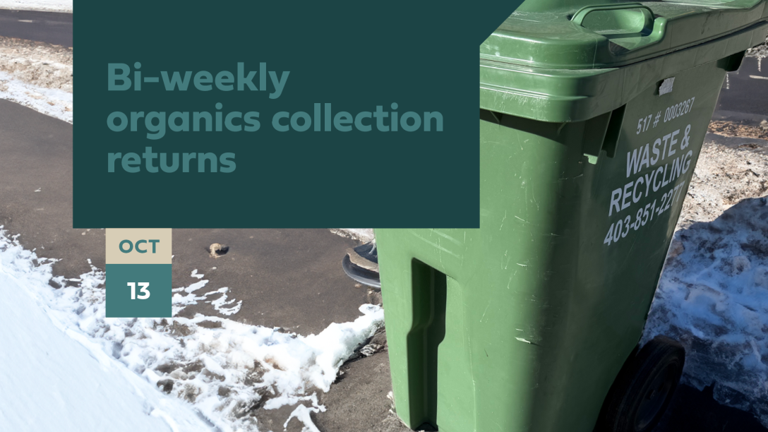 A green cart in winter time is set out on the curb for collection. The notice reads Bi-weekly organics collection returns Oct 13.