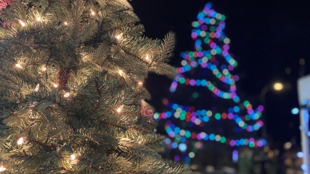 white holiday lights on tree in foreground with colourful holiday lights on tree in background, slightly blurred