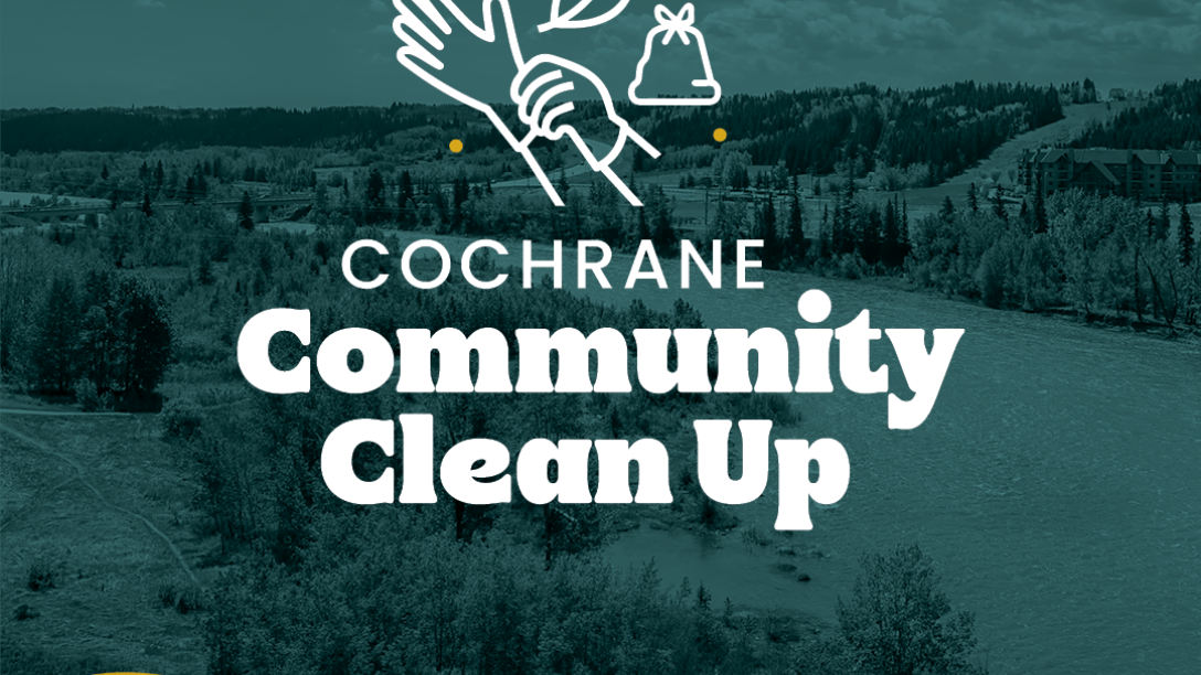 community clean up poster