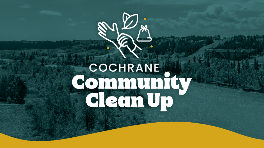 Community Clean Up 