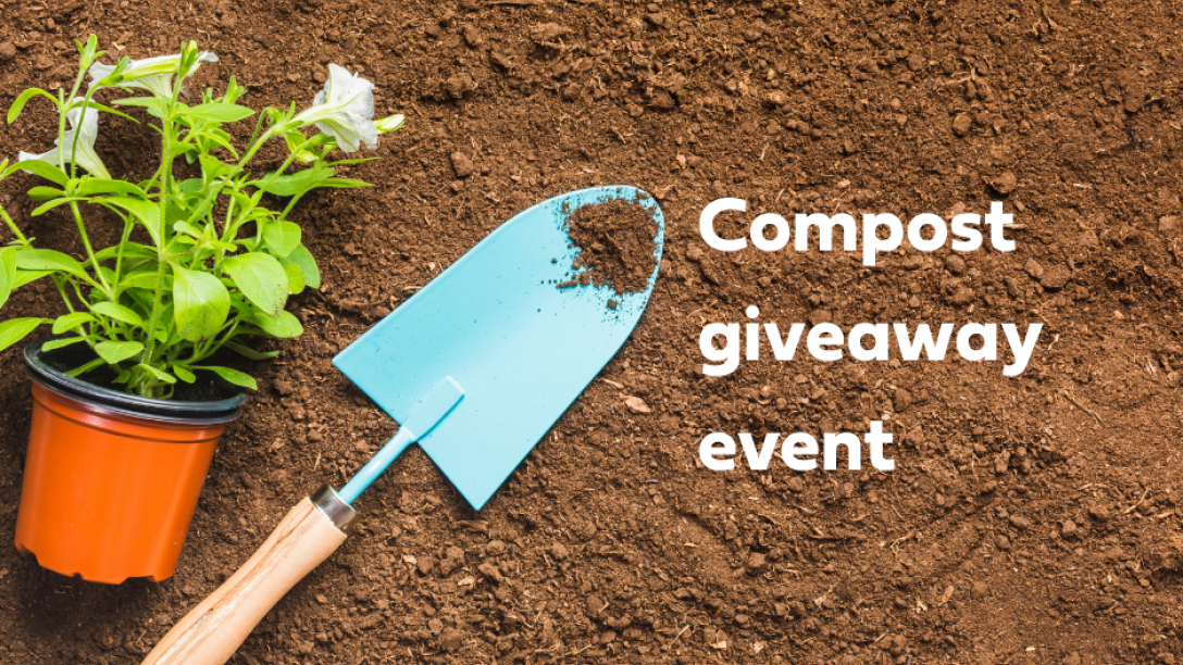 A shovel in dirt with a plant