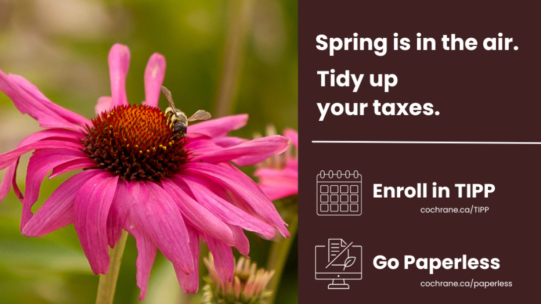 pink flowers with a reminder about TIPP and Paperless