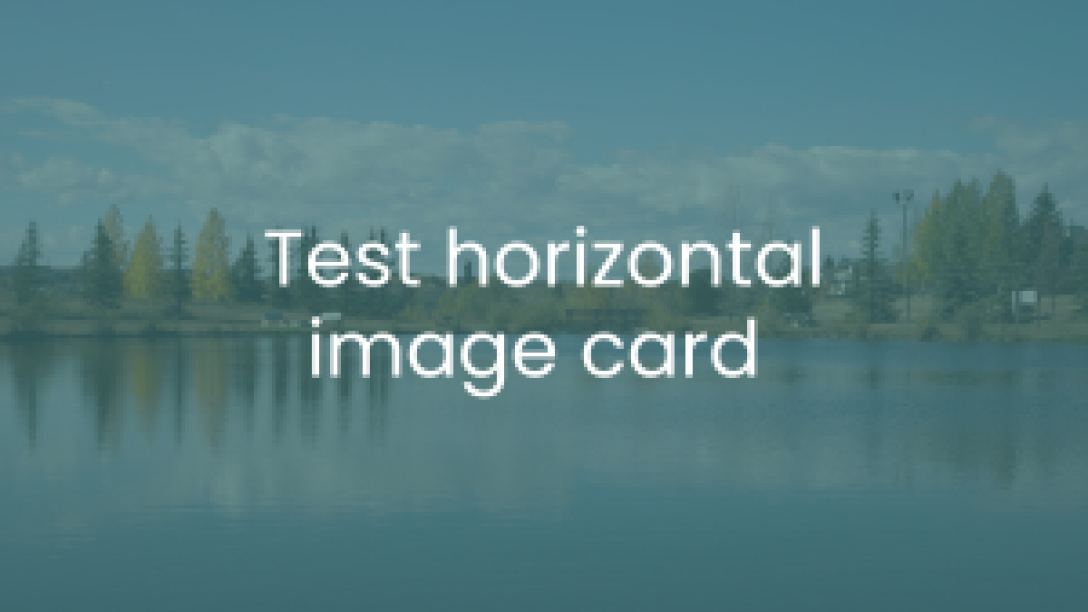 test horizontal image card - lake image with trees in background