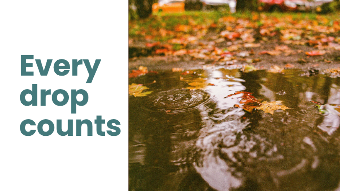 Every drop counts. A puddle on a fall road.
