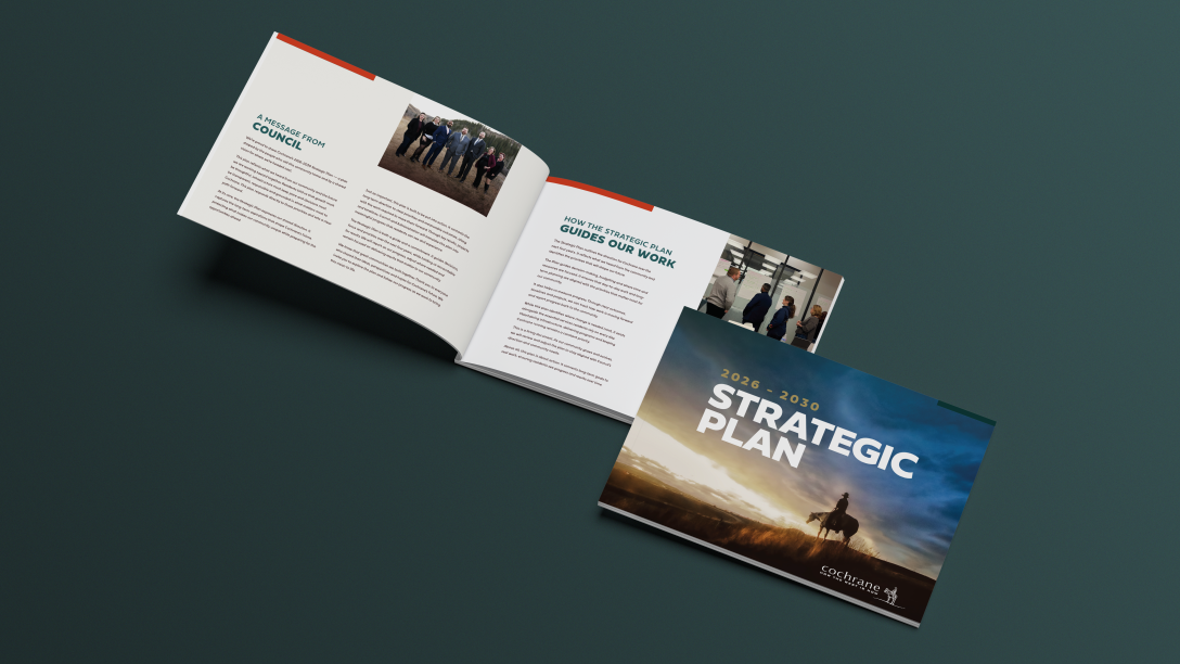 The 2026-2030 Cochrane Strategic Plan