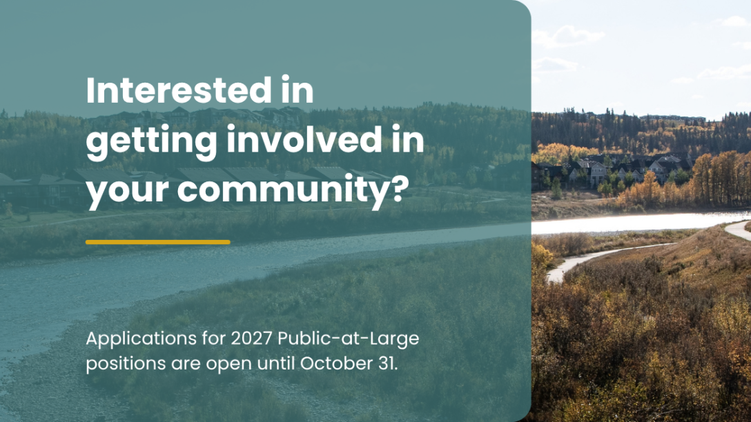 Web banner inviting residents to get involved in their community by applying for 2027 Public-at-Large positions by October 31.