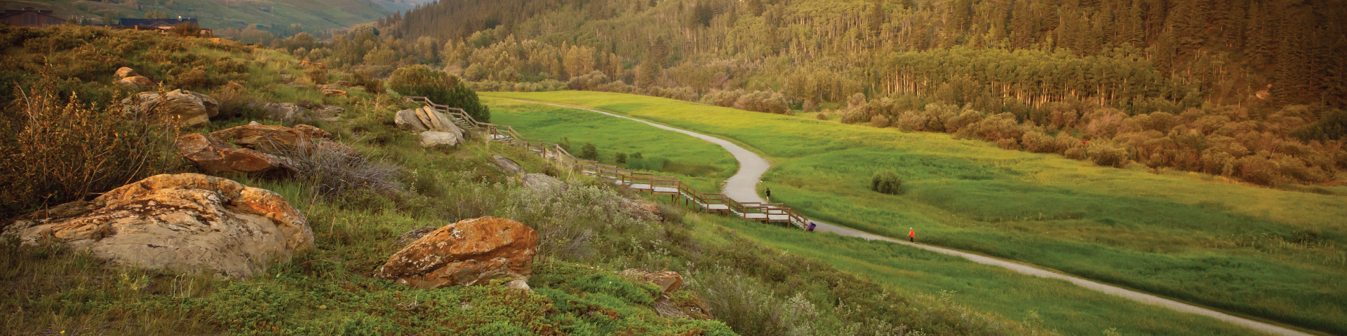 Path through Cochrane Ranche