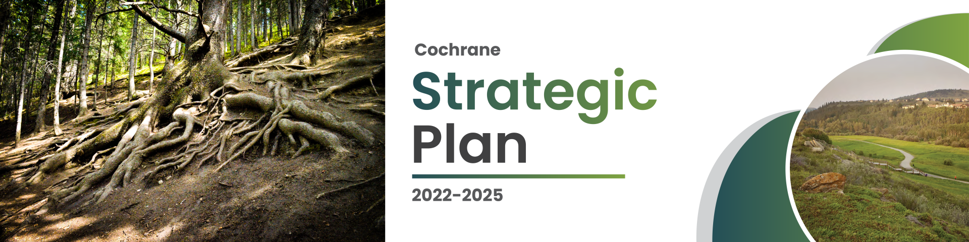 Strategic plan cover page with a tree 