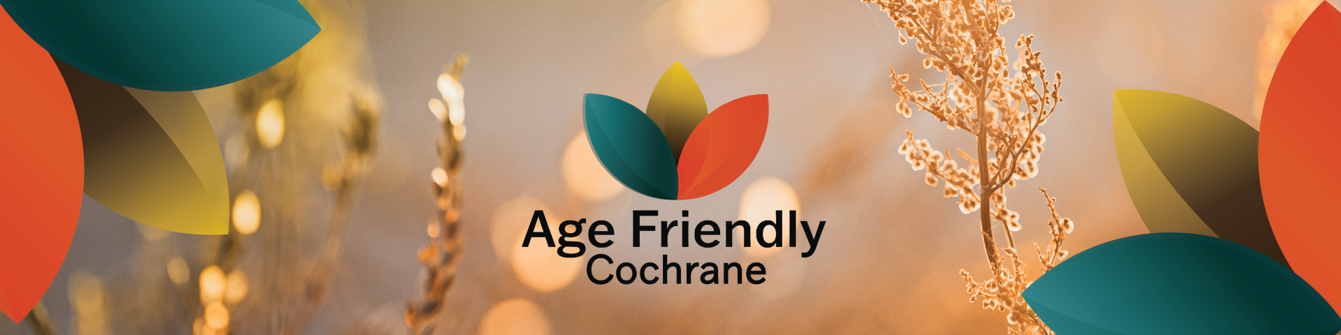 Age Friendly Cochrane banner