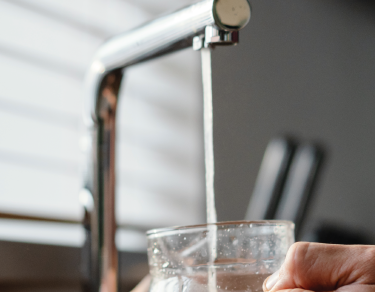 Household tap filling cup with water