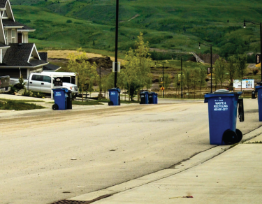 Recycling bins on a residential street