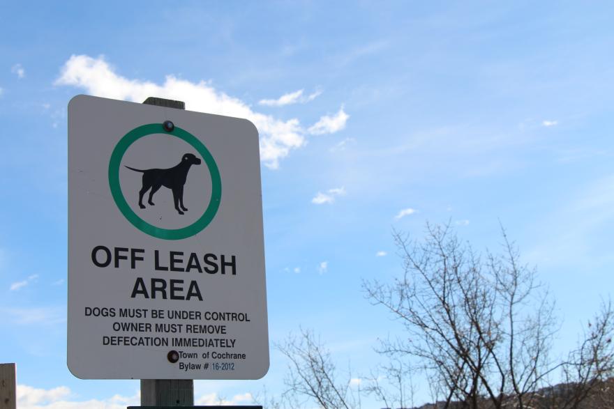sign off off leash area 