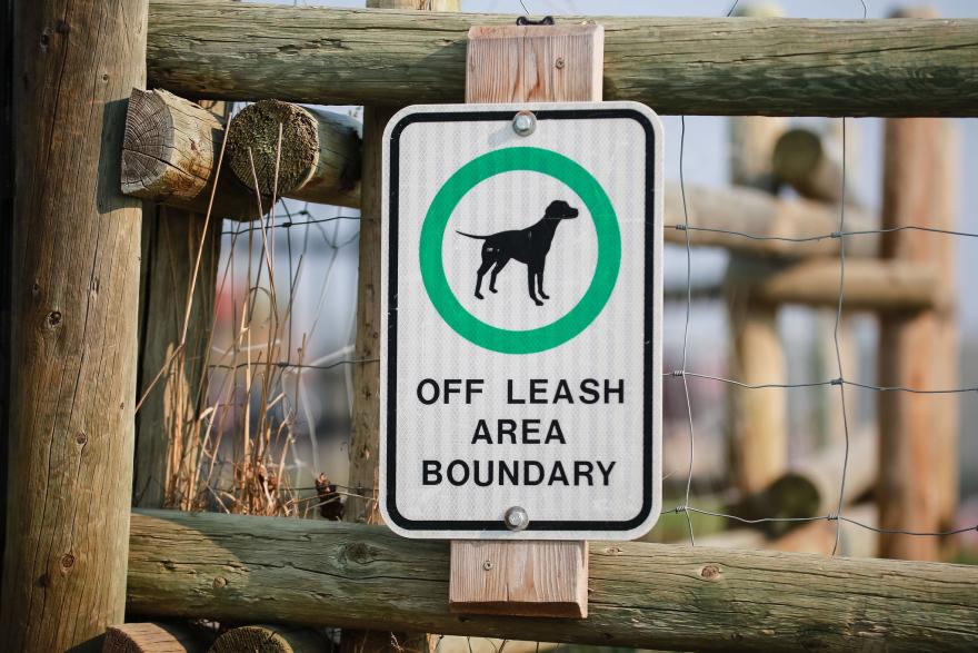 off leash dog sign with picture of dog in middle