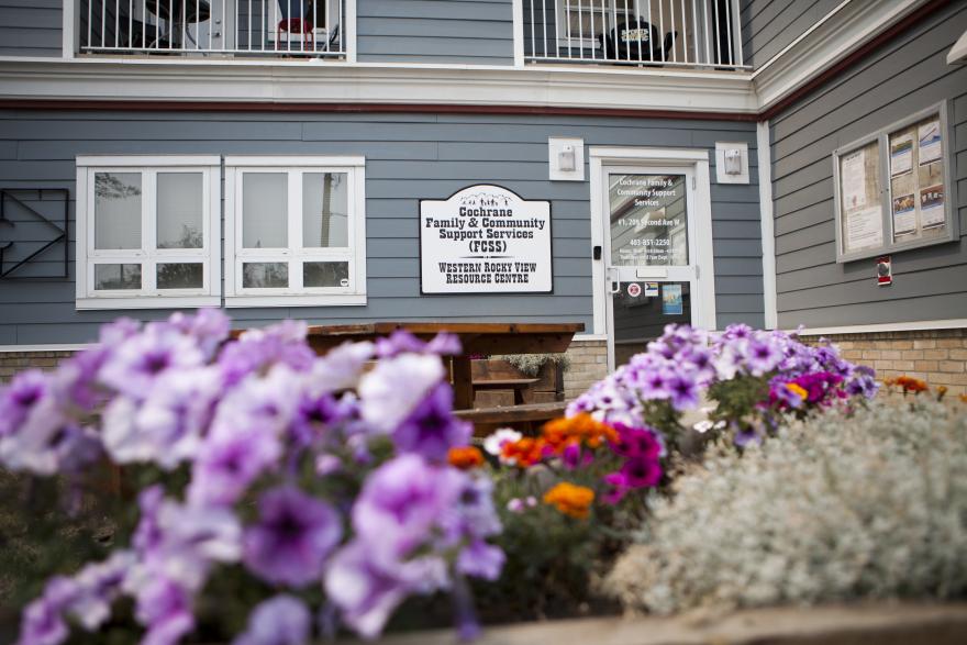 image of purple flowers in front of blue building 