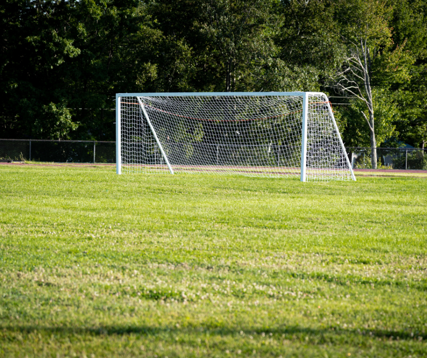fields with a white soccer net