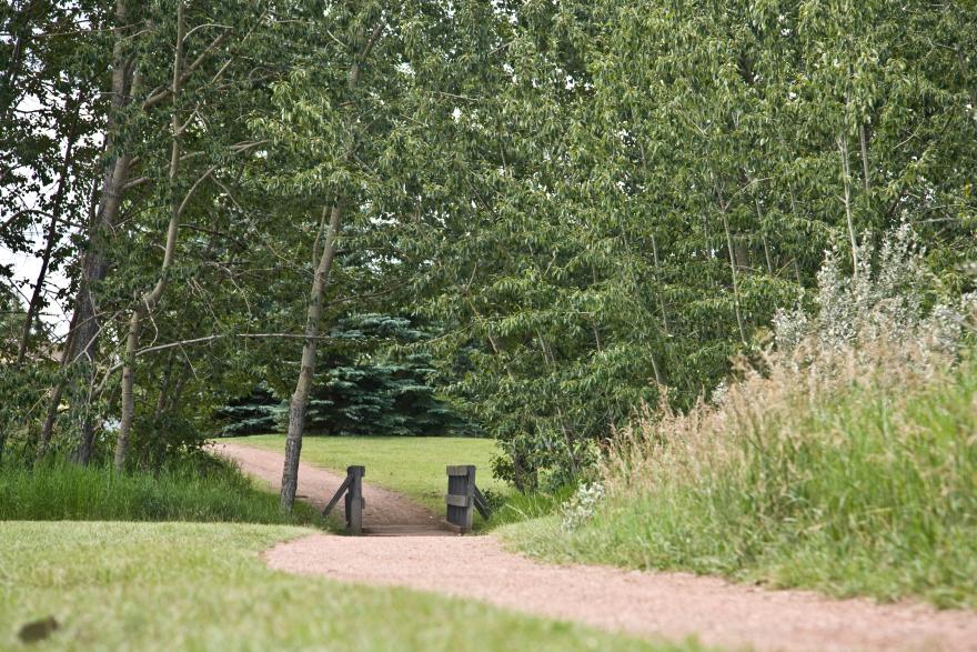 image of a pathway and greenery with a bridge