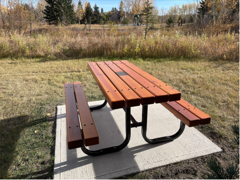 Picnic Table - Parks