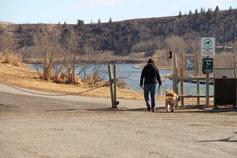 A person walking their dog through a park. The park has a small pond to the side.