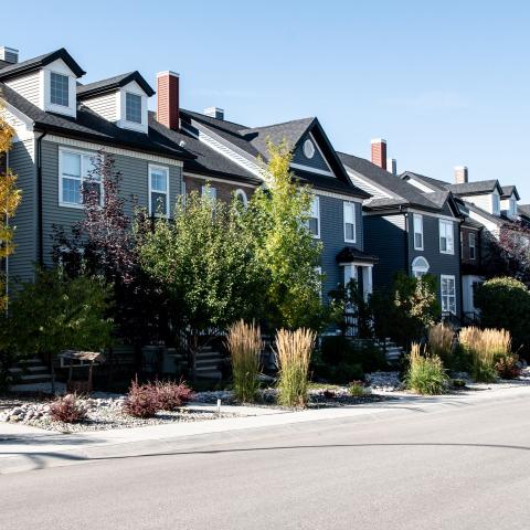 Row of houses with street in front. The sky is blue.