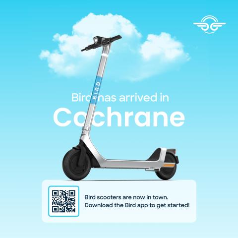 bird scooter image with qr code
