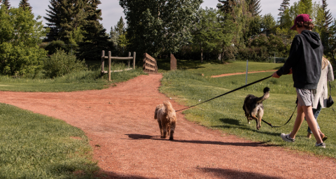 Administration provides update on Historic Ranche and Glenbow pathway improvement project