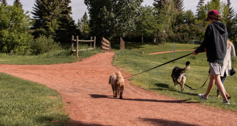 Administration provides update on Historic Ranche and Glenbow pathway ...
