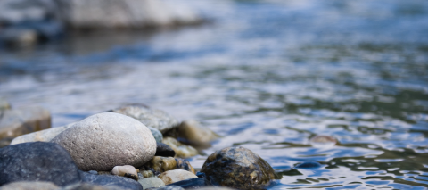 River with rocks