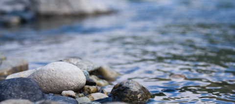 River with rocks 