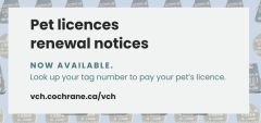 pet licence renewal