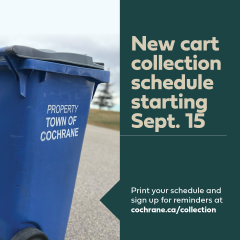 New Cart Collection