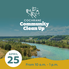 CommunityClean-up
