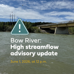 Bow River: High streamflow advisory update - June 1 at noon