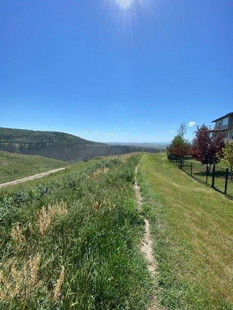 Green grass on a hill. There is a large hill on the horizon.