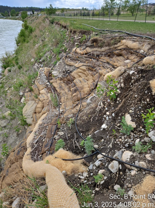 Exposed erosion control and slope stabilization work along the Bow River bank in June 2025.