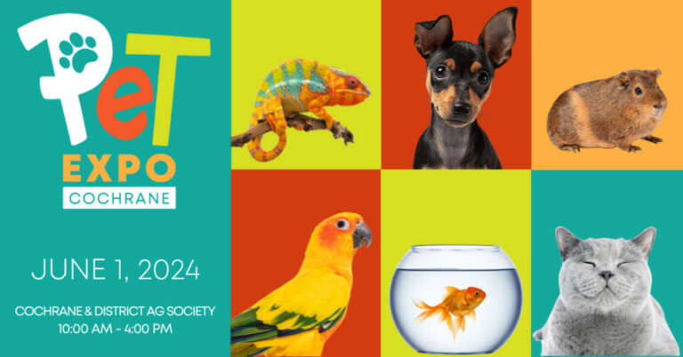 Pet Expo Cochrane, June 1st, 2024. Cute and colourful animals.