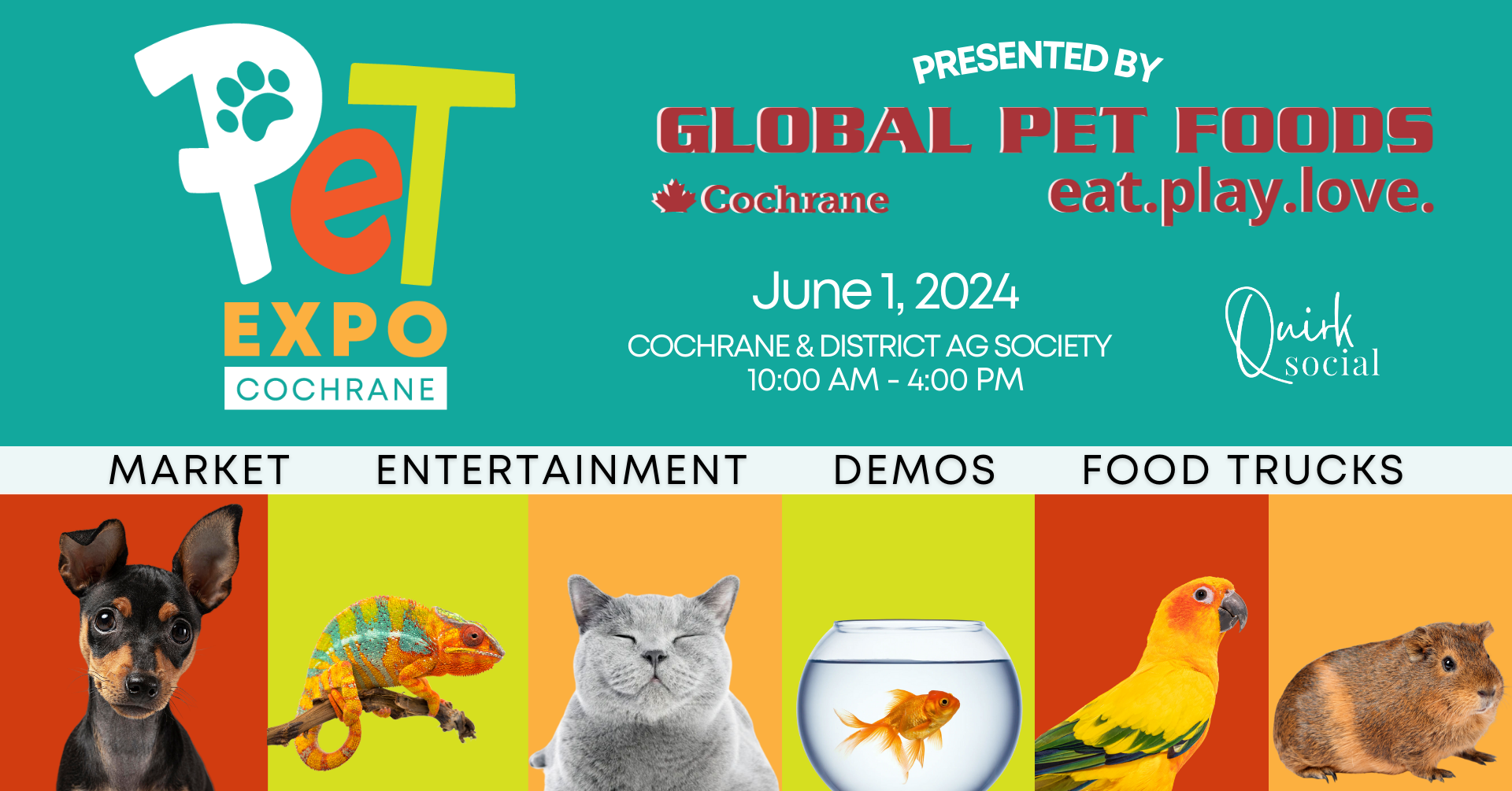 Pet Expo Cochrane, June 1st, 2024. Cute and colourful animals.