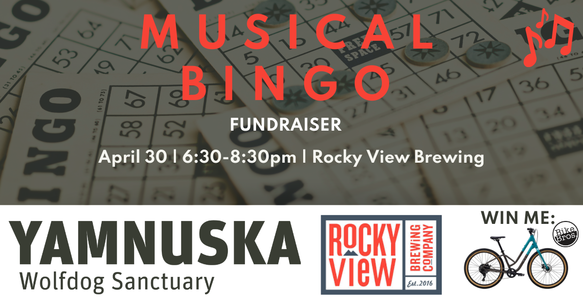 Musical Bingo at Rocky View Brewing in support of Yamnuska Wolfdog Sanctuary