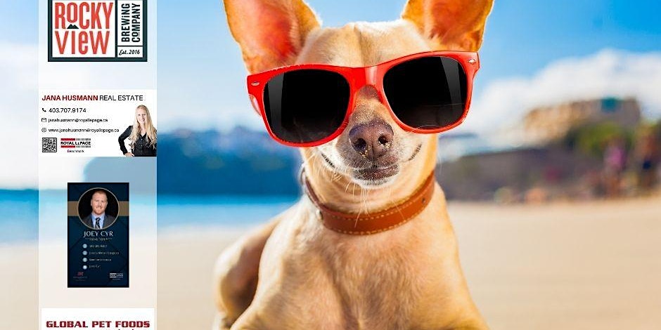 Dog with red sunglasses on a beach
