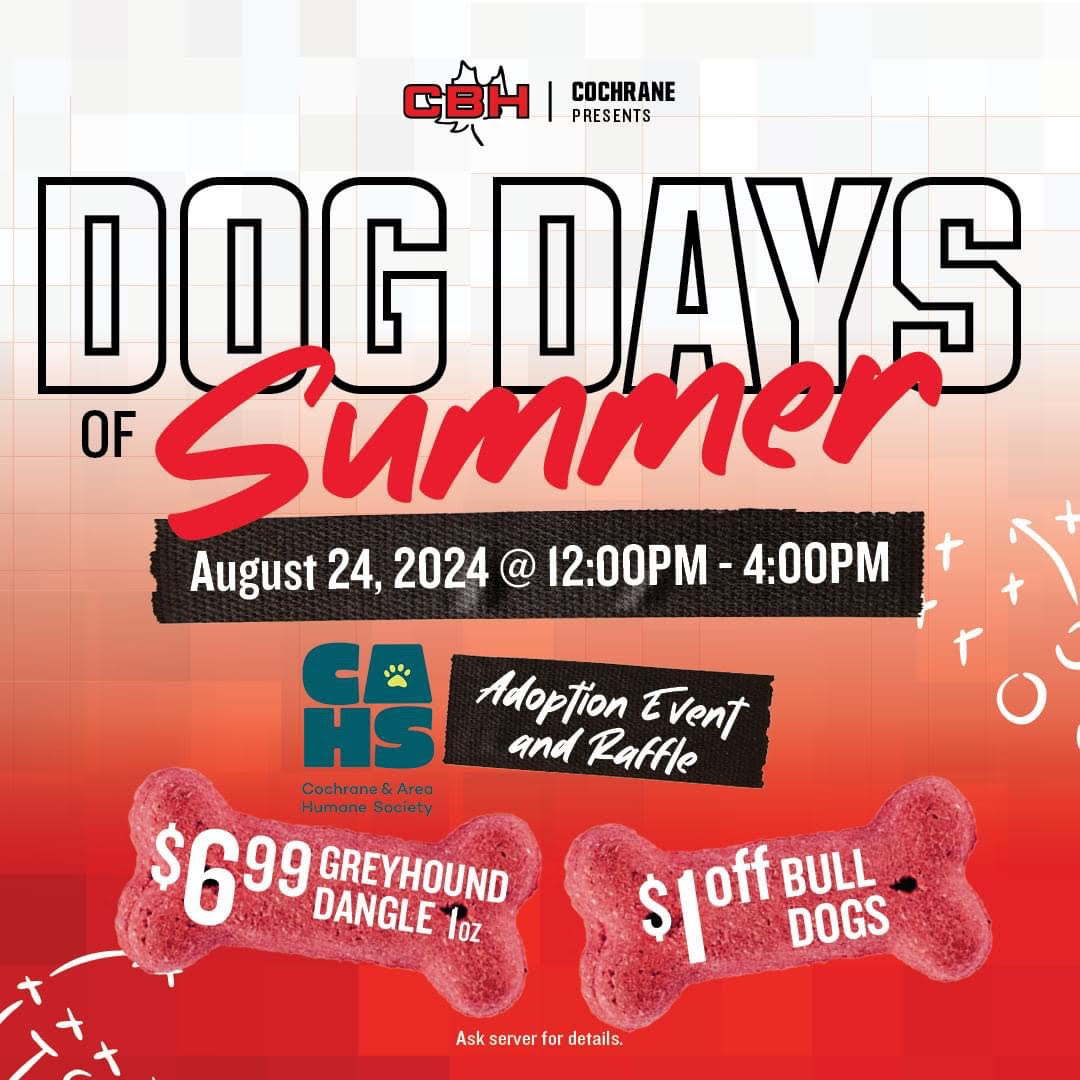 Dog Days of Summer - Saturday August 24th 12:00 PM - 4:00 PM