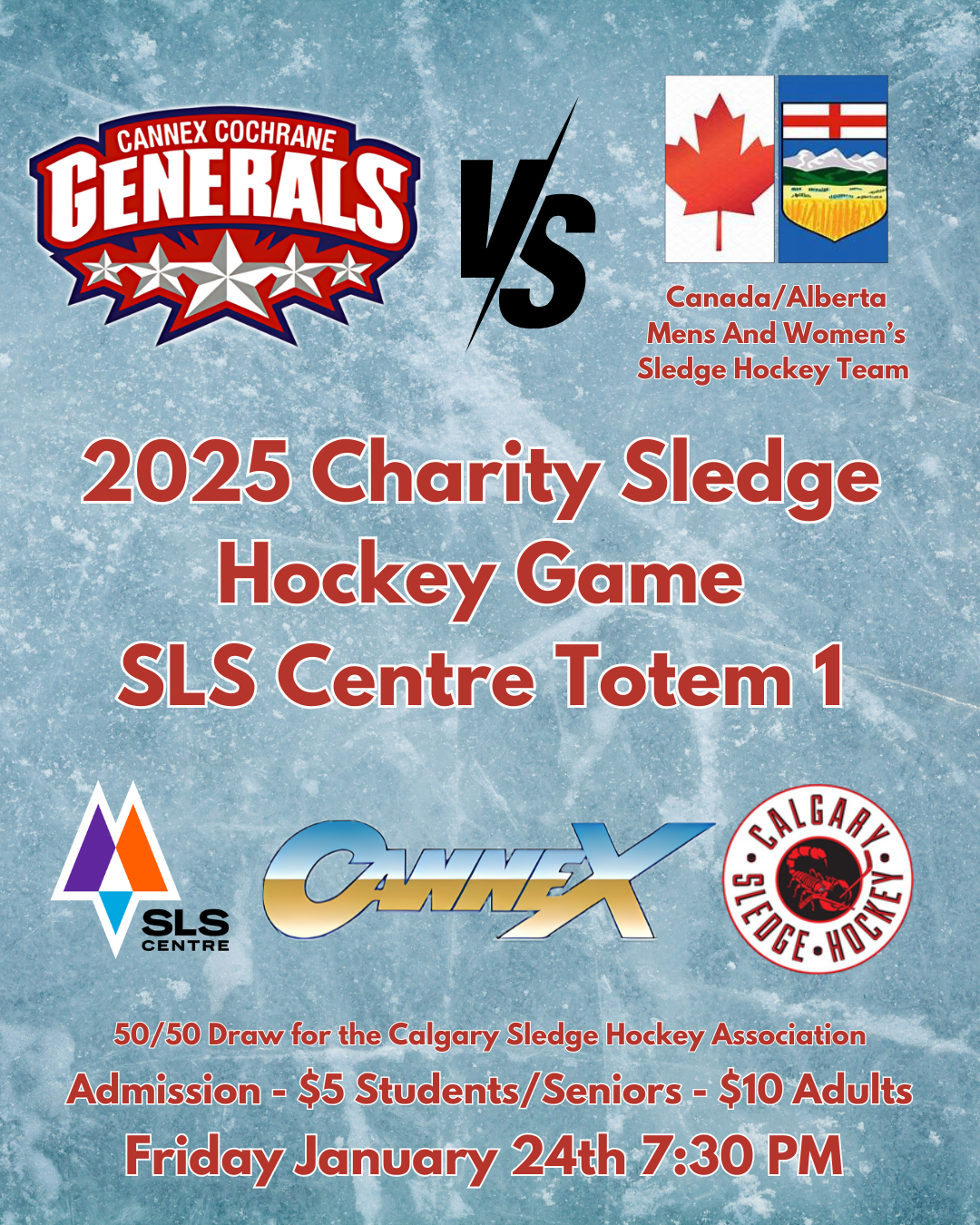 Sledge Hockey Game