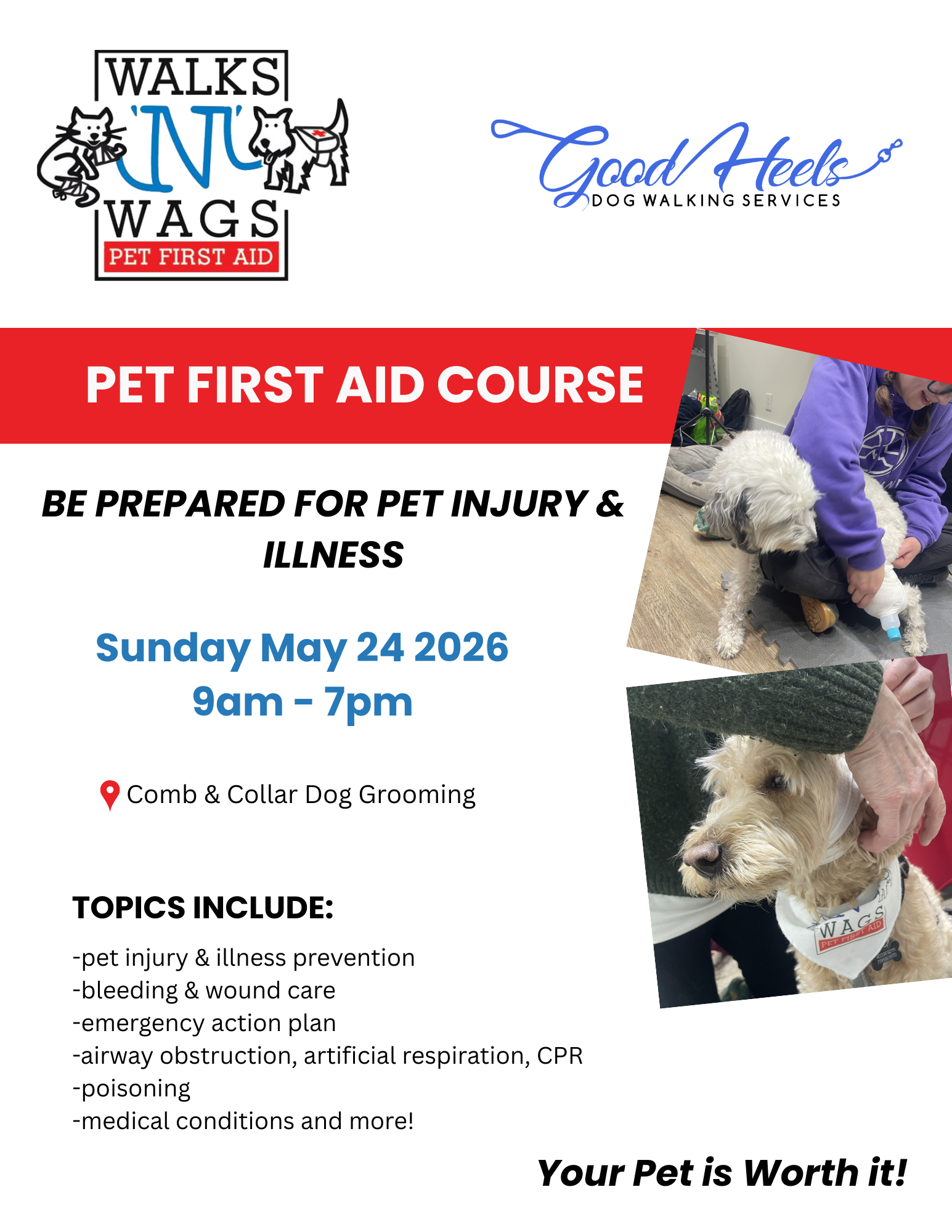 Flyer for a Pet First Aid Course by Walks 'N' Wags and Good Heels Dog Walking Services, scheduled for May 24, 2026, at Comb & Collar Dog Grooming. Includes images of a dog and person, and course topics like CPR and wound care.