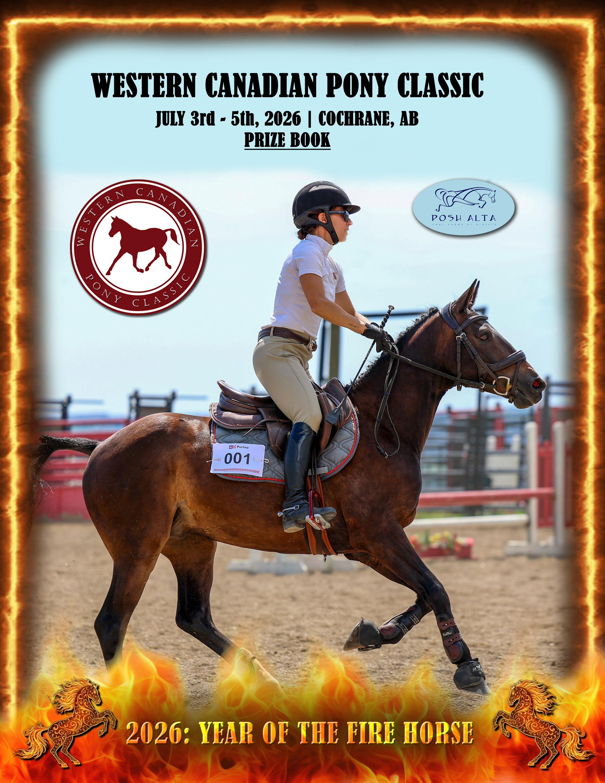 Prize Book Cover