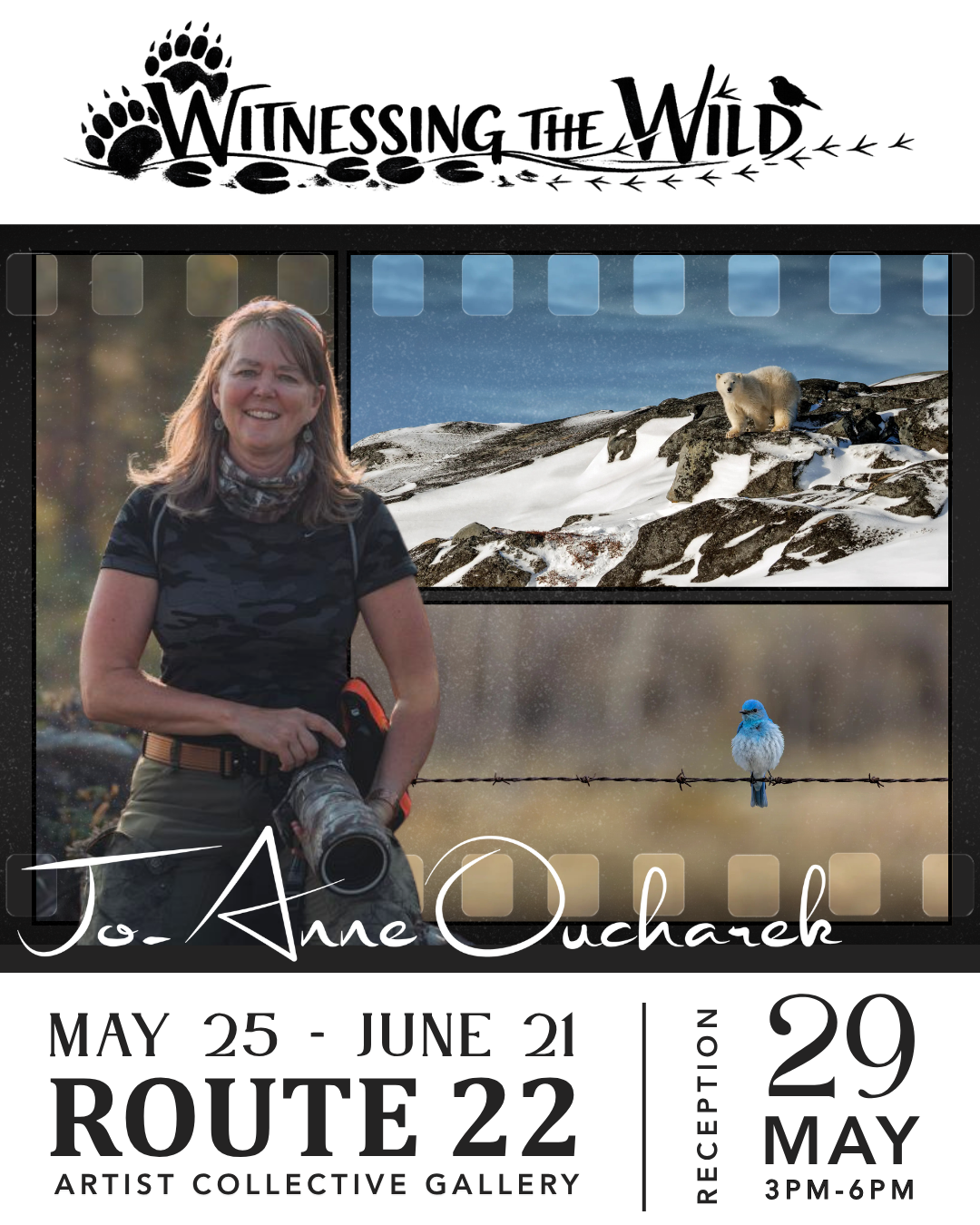 Witnessing the Wild by Jo-Anne Oucharek